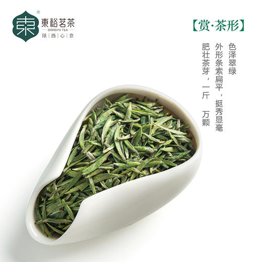 【2025春茶】东裕茗茶 秦岭高山精品仙毫50克磨砂罐装 商品图1