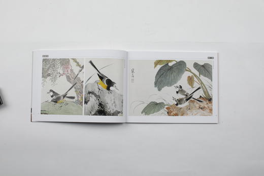 江寒汀百鸟百卉图卷|上海书画出版社 商品图7