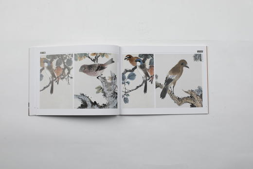 江寒汀百鸟百卉图卷|上海书画出版社 商品图8