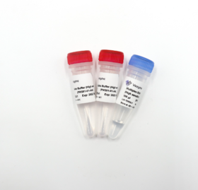 Taq Pro Multiplex DNA Polymerase (High sensitivity)