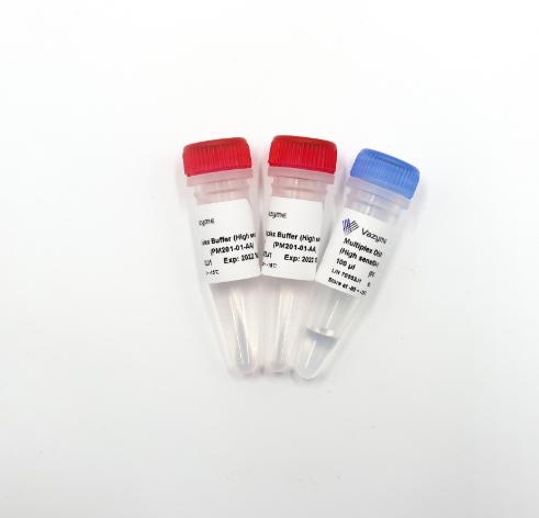 Taq Pro Multiplex DNA Polymerase (High sensitivity) 商品图0