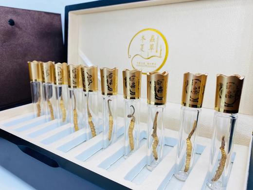 添合泰冻干冬虫夏草（礼盒装） 商品图2