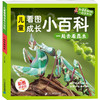 一起去看昆虫 彩图拼音版 商品缩略图0