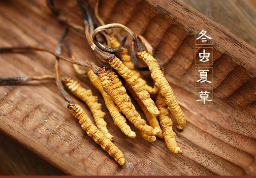 添合泰冻干冬虫夏草（礼盒装） 商品图1