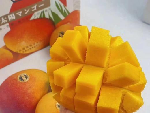 海南空运太阳芒（一箱6个） 商品图2