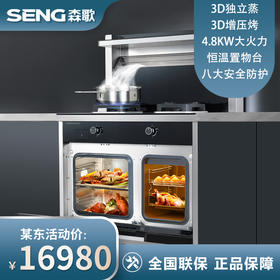 森歌（SENG） JJZT-K2ZK-G独立蒸烤集成灶 独立蒸箱烤箱一体机 抽油烟机套装 天然气