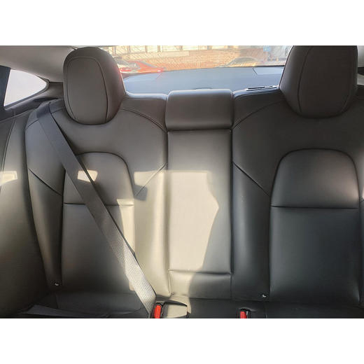 特斯拉 Model 3 长续航后轮驱动版【长租-北京】 商品图7