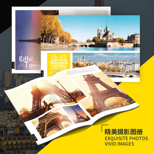 乐立方DS0998巴黎铁塔 商品图2