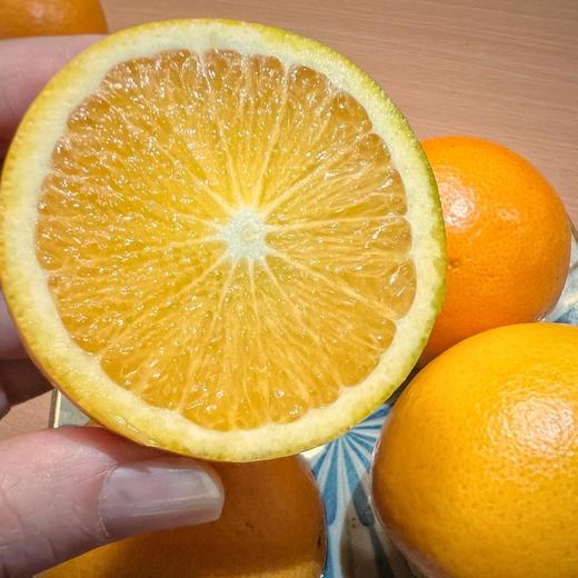 麻阳冰糖橙 甘甜爽一爱上皮薄肉甜 商品图0