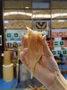 【北海公鱼胶】挑时手工鱼胶 商品缩略图1