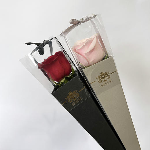 单支礼盒装玫瑰 商品图0