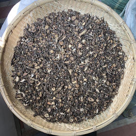 白头翁