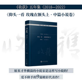 仰头一看 玫瑰在额头上·中篇小说卷（《收获》五年集 2018—2022）