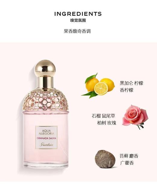 娇兰圆舞榴光香水 75ml淡香Guerlain娇兰花草水语系列 女士香水 商品图2