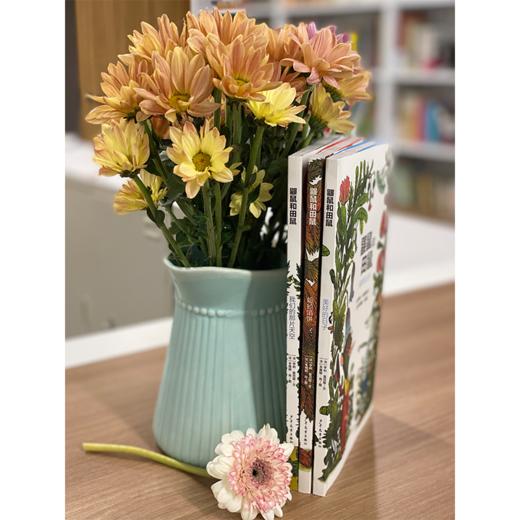 鼹鼠和田鼠  让孩子感受世界美好桥梁书 商品图1