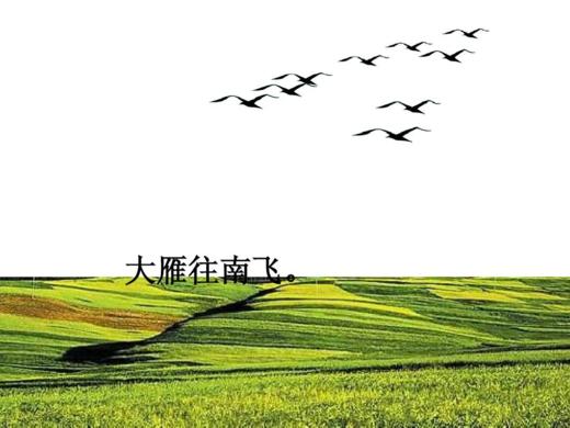 11只灰雁往南飞 商品图0