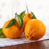 誉福园不知火丑橘5斤（果径75MM-85MM） 商品缩略图0