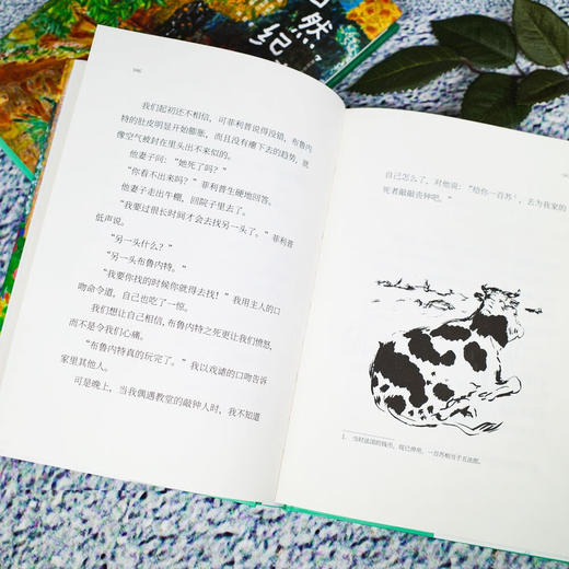 自然纪事 商品图4