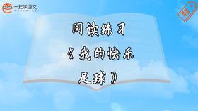 阅读练习：《我的快乐足球》