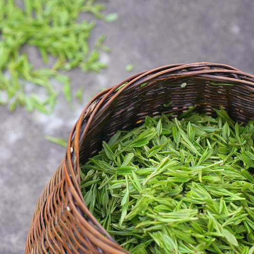 2023新茶福海堂【西湖龙井】明前特级50g春风复古桦木皮筒-西龙M5 商品图3