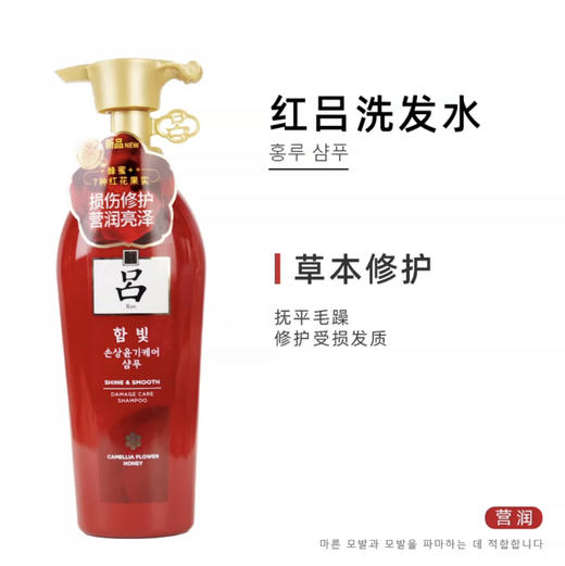 红吕含光耀护营润修护洗发水400ml 商品图1
