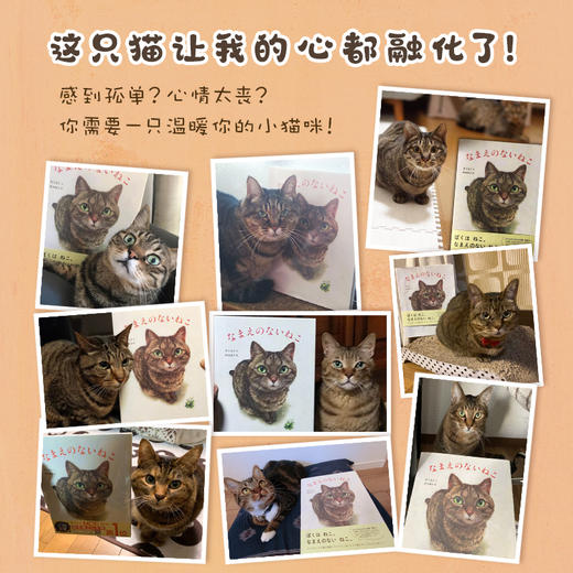 寻找自己名字的猫  日本绘本4冠王 斩获多项绘本大奖  暖心治愈的心灵启示 商品图5
