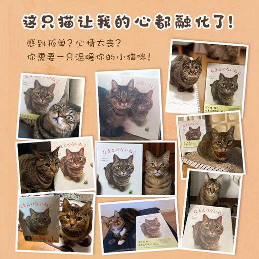 【多规格】今天猫咪看家+寻找自己名字的猫 商品图5