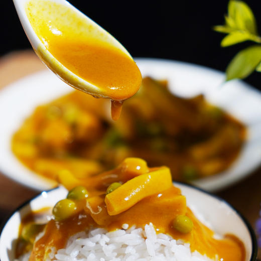 咖喱鱿鱼 商品图2