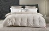恒源祥蚕丝大白鹅绒被-典雅地暖款1HH8111-1.4-H 商品缩略图0