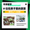 年级研学丨住在房子里的蔬菜——植物工厂大探秘 商品缩略图0