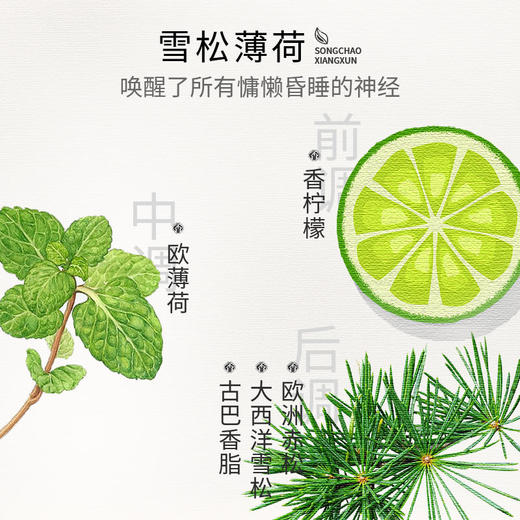 宋朝 挂饰车载香薰汽车香氛挂件持久淡香清新 商品图3