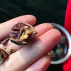 幸运小筑 | 手剥山核桃195g 商品缩略图3