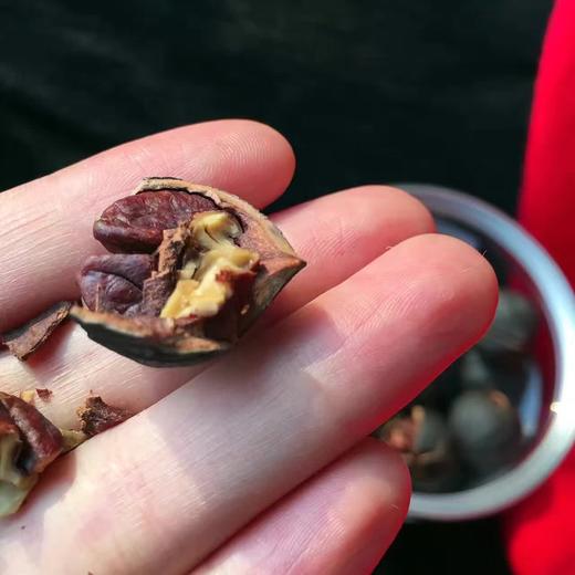 幸运小筑 | 手剥山核桃195g 商品图3