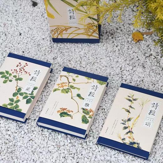 《诗经》插图版函套3册，全诗+全注+全译+赏析+诗经名画，一次性读懂诗经之美。 商品图2