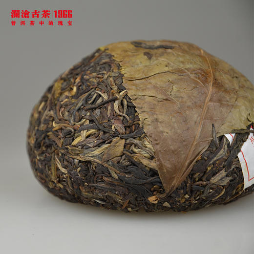 【老茶开仓专享】澜沧古茶2016年荒野沱普洱茶生茶250g（1条4沱） 商品图3