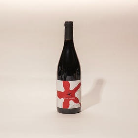 梦之路魔咒红葡萄酒