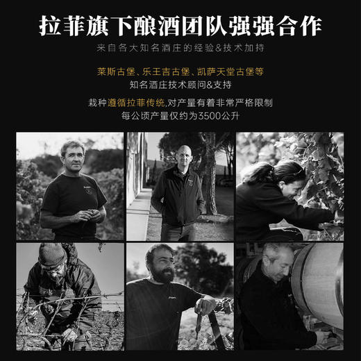 【拉菲官网力荐】拉菲·雾禾山谷赤霞珠西拉红葡萄酒 朗格多克·雾禾山谷产区 13.5%vol 商品图10