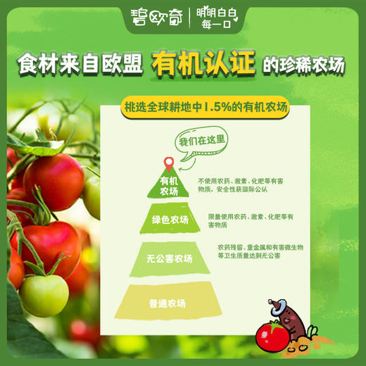 【2支装】碧欧奇宝宝番茄酱，欧盟有机，不添加食盐和糖 ，无香精色素，宝宝拌拌酱 商品图12