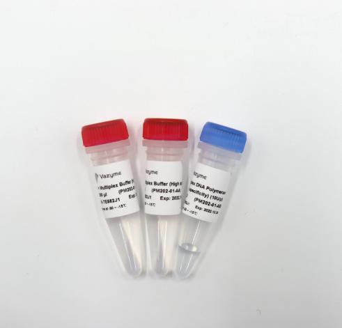 Taq Pro Multiplex DNA Polymerase (High specificity) 商品图0