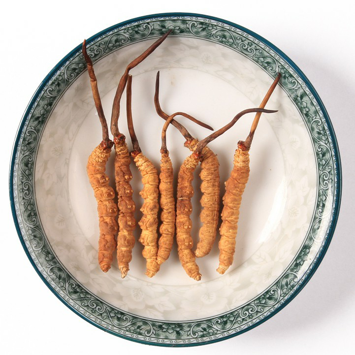 添合泰冻干冬虫夏草（礼盒装）