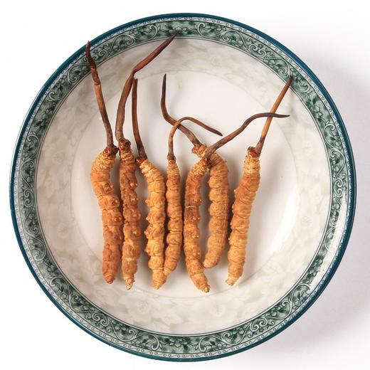 添合泰冻干冬虫夏草（礼盒装） 商品图0