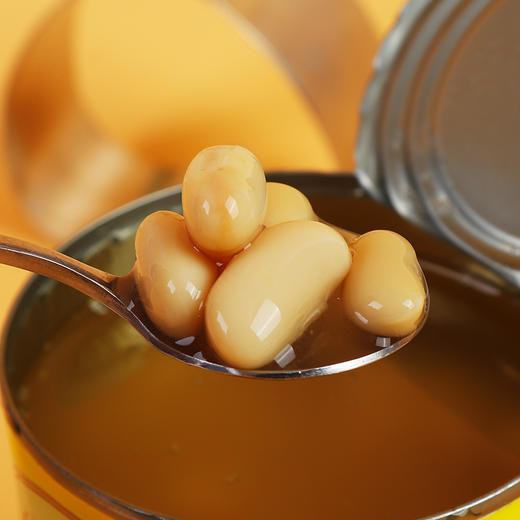 意大利原装进口 即食熟鹰嘴豆 三角豆 商品图3