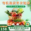 京津冀包邮单次配送卡可自选6斤/8斤有机蔬菜欧盟认证 新鲜现摘 商品缩略图2