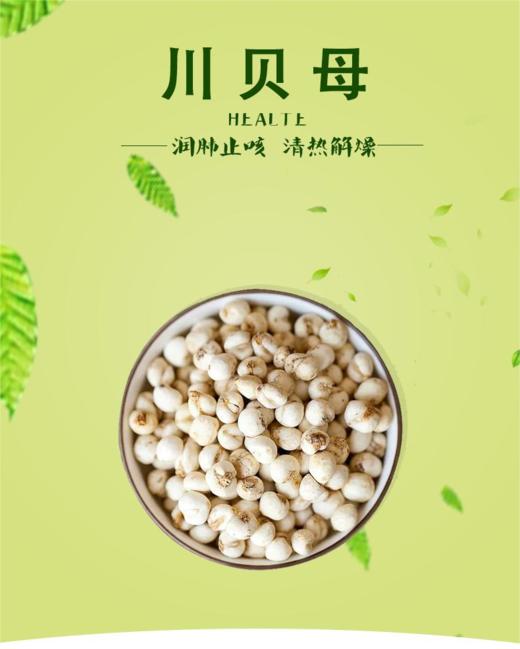 添合泰川贝母/贝母粉 商品图0