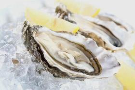 【美食】外滩五星酒店再现生蚝风暴￥278/位！4种口味霸气畅吃！佛跳墙/羊排壕气派送！更有¥178午市自助可选！