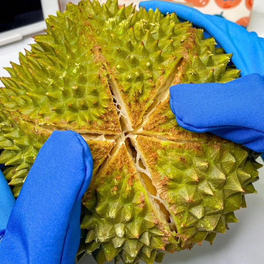 猫山王榴莲-礼盒 商品图5