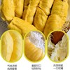 【整个销售】马来西亚猫山王榴莲D197  500g 商品缩略图4