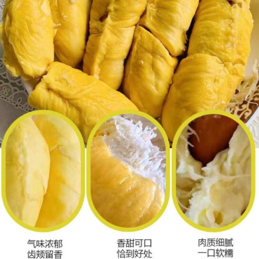 【整个销售】马来西亚猫山王榴莲D197  500g 商品图4