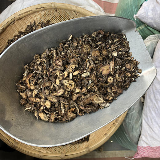 白头翁 商品图4