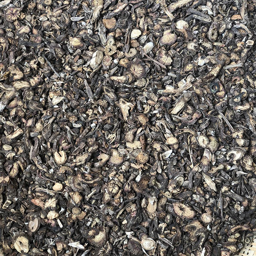 白头翁 商品图1